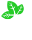 Echo Paints